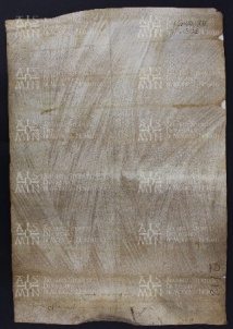 12 B.7.XIIv, Investitura fatta da Varino vescovo a favore di Gosberto e di Pietro Rozoni da Polinago, Modena, [1012-1013, dic. 29-30]